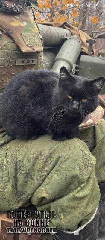 Доброе утро