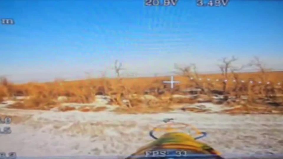 ������� ���������: ���������, 8 ����� ������� ��� ��� � ������ ���������