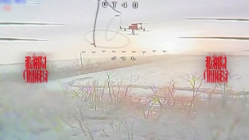 ����������� ��������� �������� ���� ������������