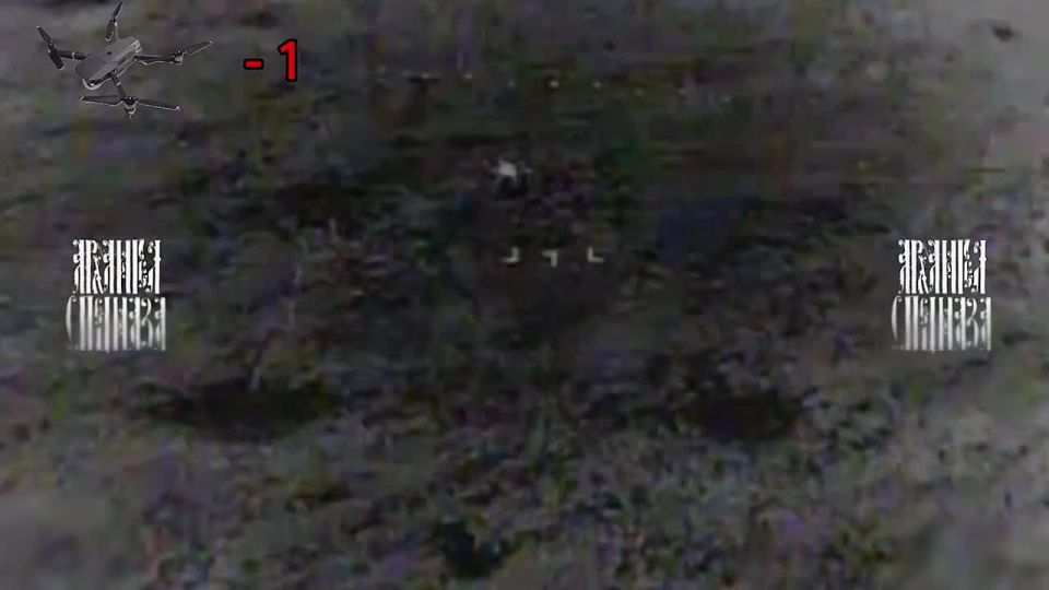 �������� ����� ������ ������