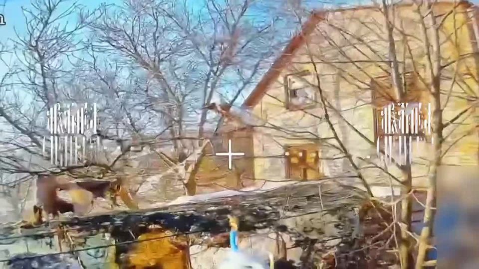 ����� ������ � ����������