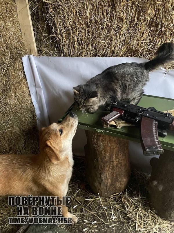 Доброе утро