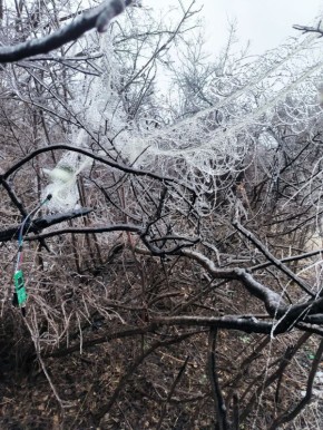 �������� ���� ����������� ������