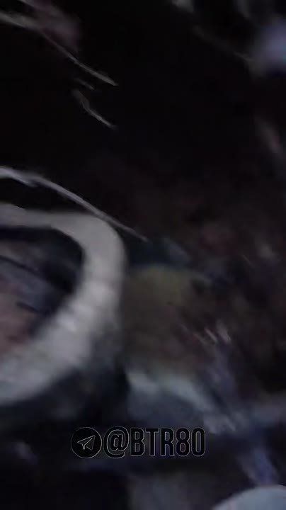 ��������, ������������� ������� ��������� �������� ����������, �������