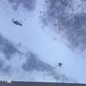 ���������� ���� � ��� ��������� ����������� ���� ���������