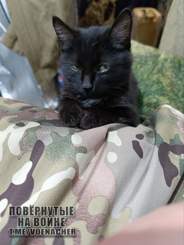 Доброе утро