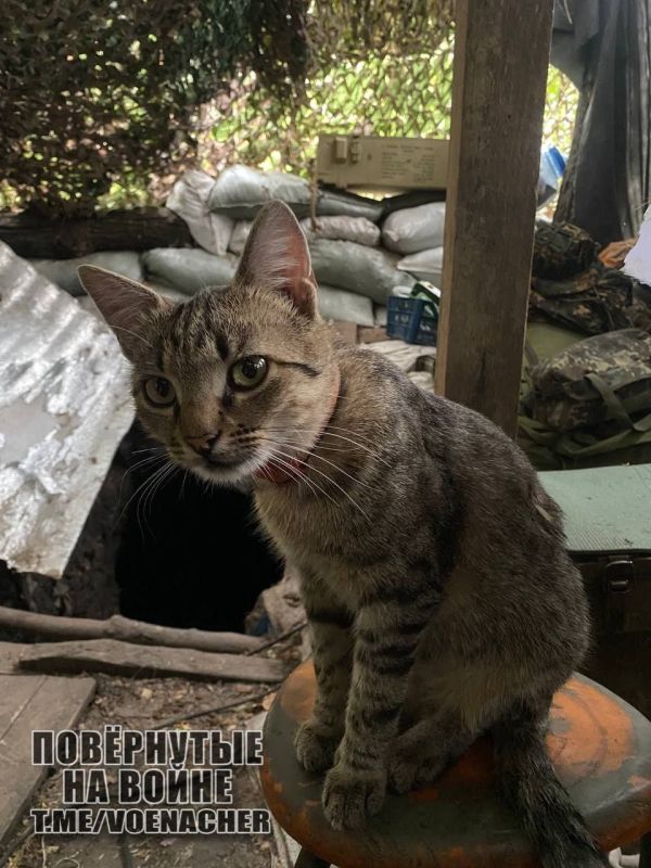 Доброе утро