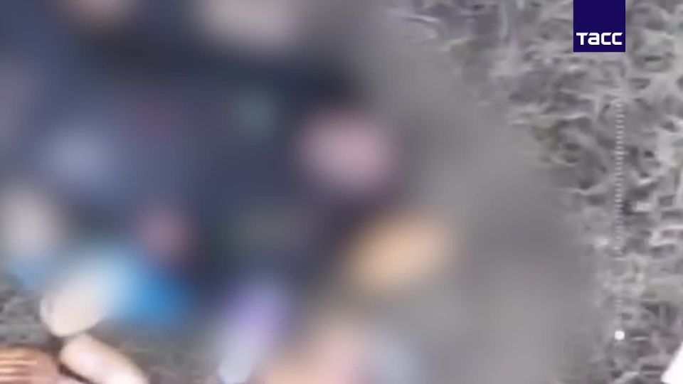 ������� ��� ��������� ����������� ����������, ������������ �������� ������� ������� ������������ �������