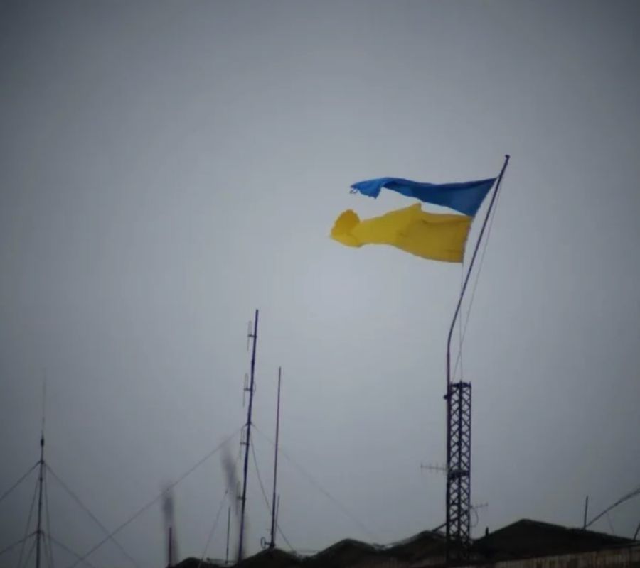 Тема выборов на Украине снова всплыла: вокруг Зеленского растёт напряжение