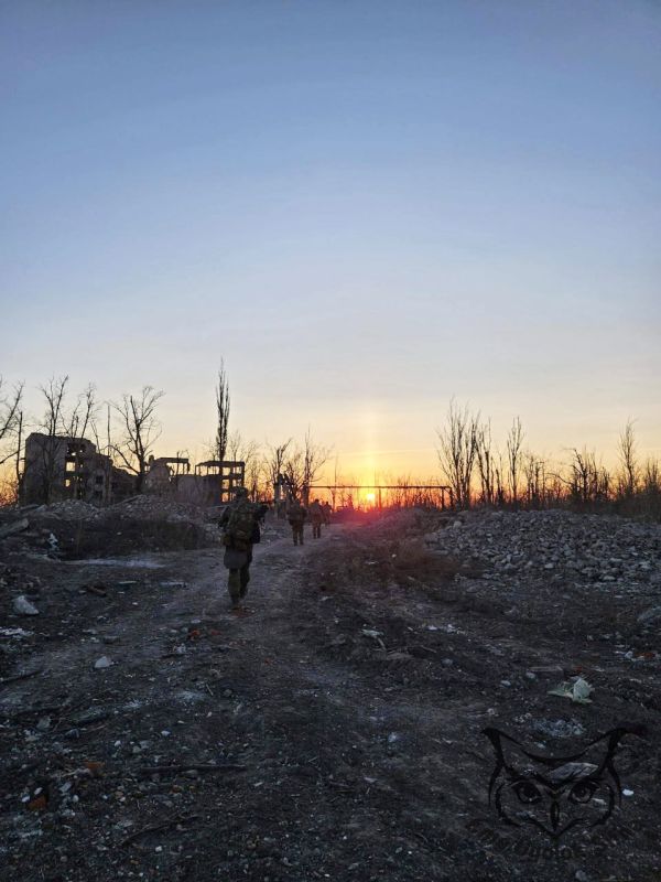 ���������. #�������_���