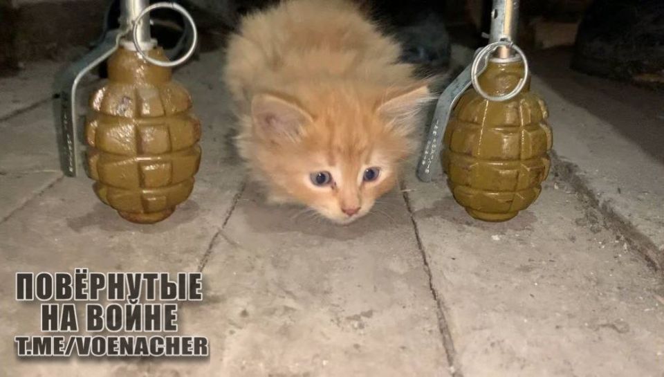 Доброе утро