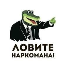 Рютте:. Я посмотрел псу Патрону в глаза, и он мне сказал: "мы никогда не сдадимся"