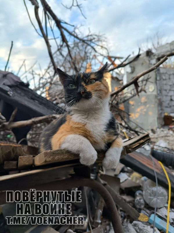 Доброе утро