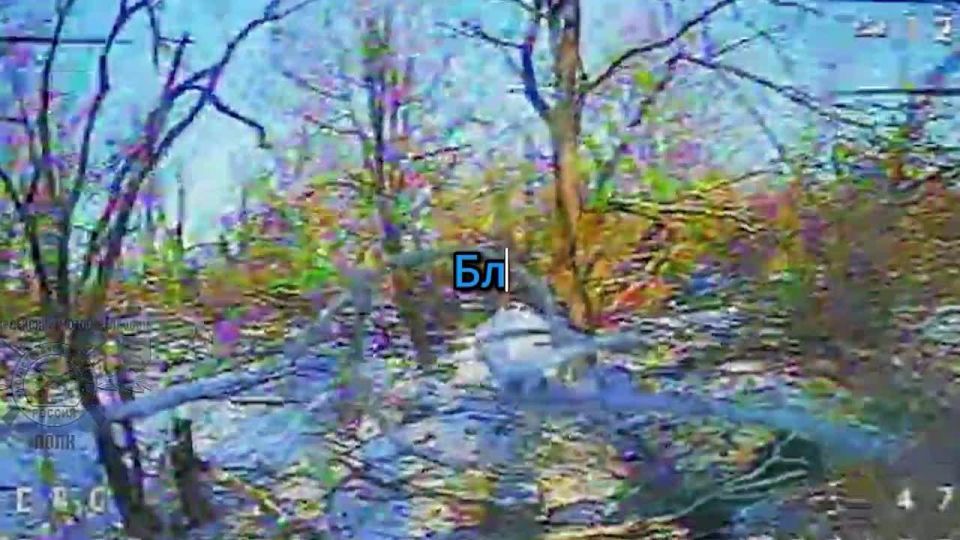 Дмитрий Астрахань: 150 мсд уничтожает ПВД, ПУ БЛА и позиции ВСУ в Приюте, Торецком, Торском и Павловке