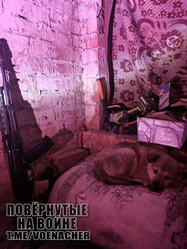 Доброе утро