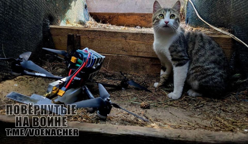 Доброе утро