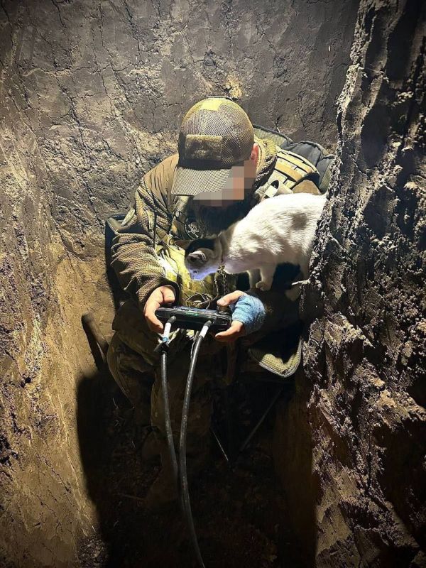 ������� ���� ���� �����!. �������� ��� � ������� �������!