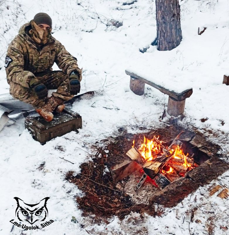 ������ ����