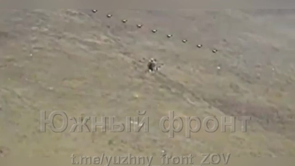 �������� �����: ����� ����������� ���� ���������� ���������� "�����" ����������� �����