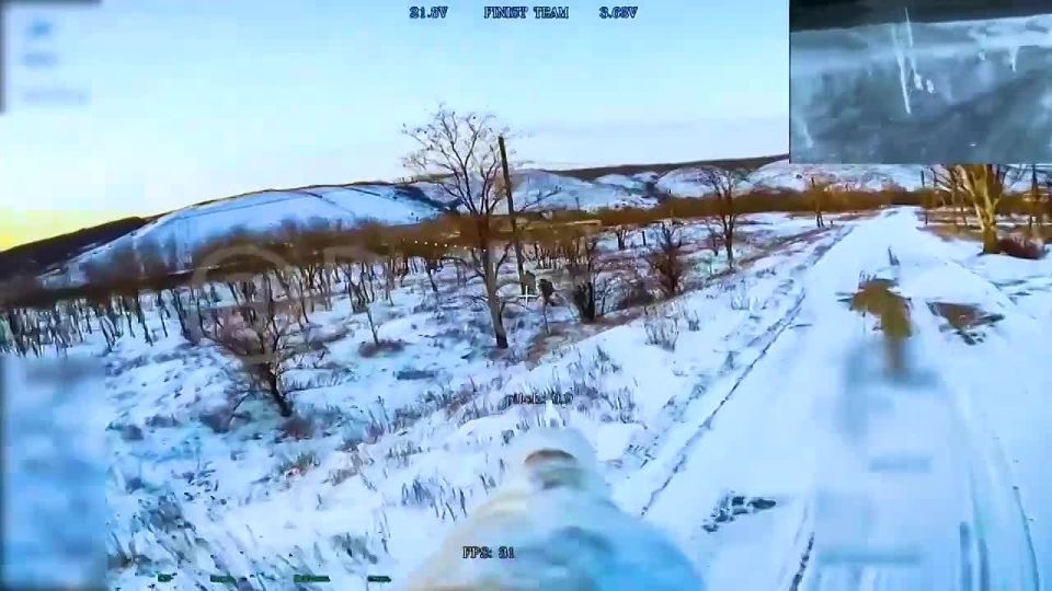 �� ��������, �� �������, �� ������