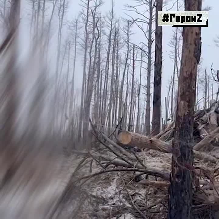 �����, ��� ��� �� ������� ������, �������� ���������. � ������� ��������� ������ ���������� � ���� � � ���, ��� ��� ���, ����, ����, � ������� �������� ����� � �������� ����� �� 121-�� ��������������� �����