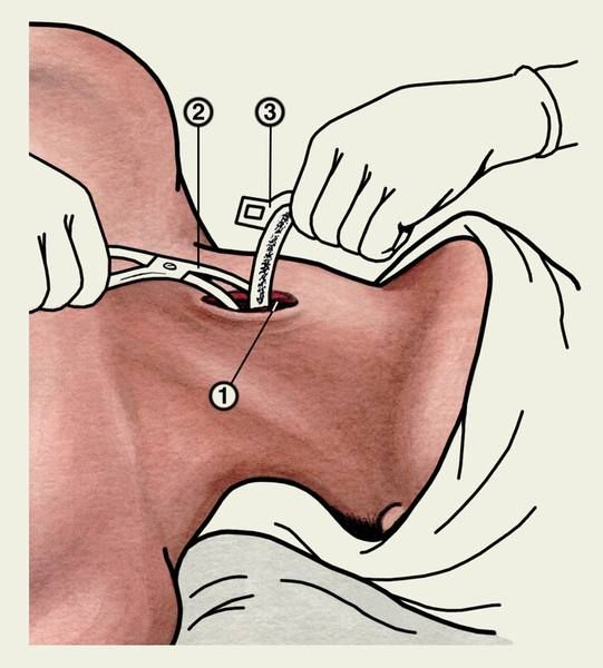 Еженедельная авторская колонка; Еженедельная авторская колонка;