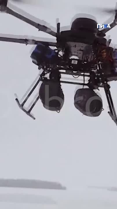 ����� ������� "��������" ���������������� ������� ������� ��������� �����