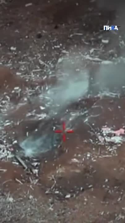 Казаки бригады "Сибирь" Добровольческого корпуса уничтожают украинских нацистов