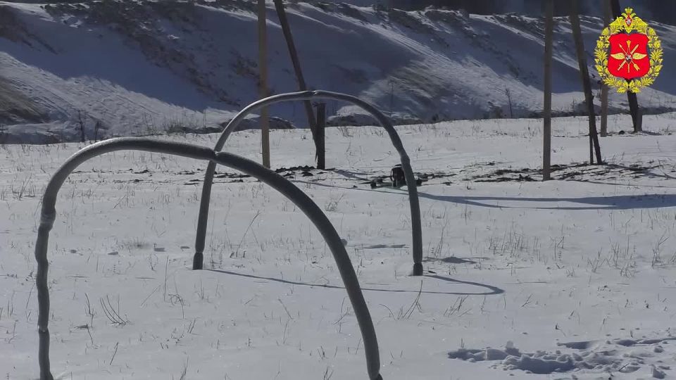 ���������� ������: ������� ����� ����������� ������ 5-� ������� ����������� ������ ���������� ���������� � ����