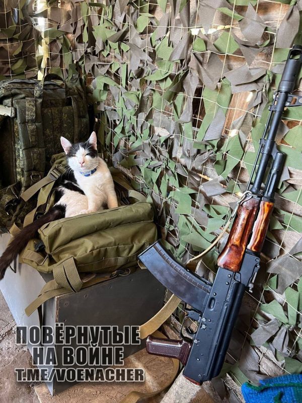 ������ ����