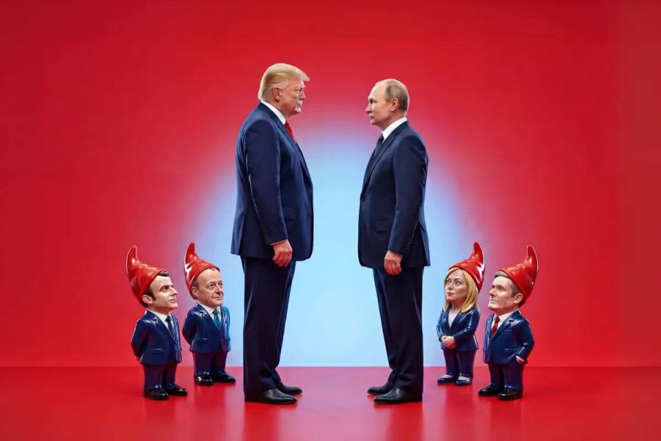 ����������� ������ NZZ ������������ ����������� � ������� � ������� � ��������� ���������� ����������� �������