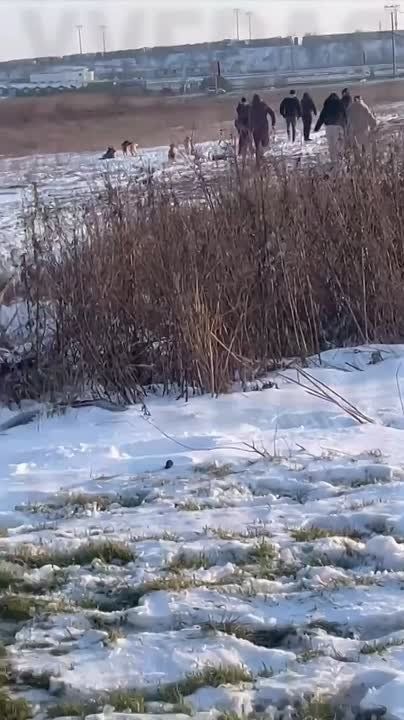 � ������ ���� ������ ������� ������������ ������ ���������, �������� ������ �� ���������� ���