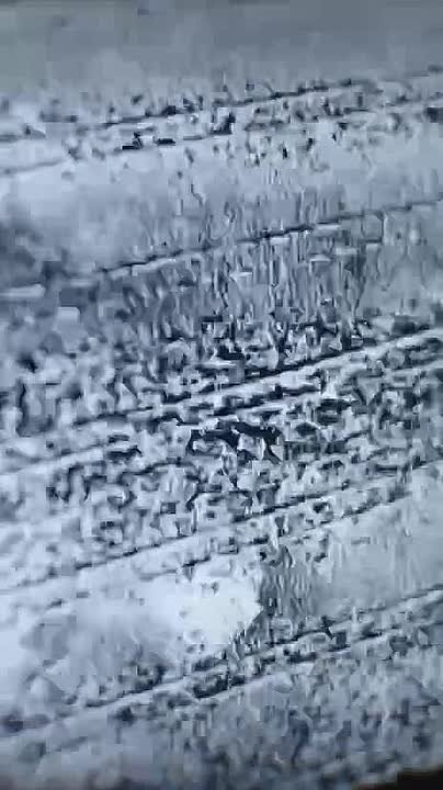 Открыт набор операторов БПЛА в подразделение беспилотных систем (г. Балашиха)