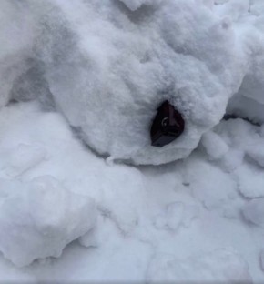 ��������� ��������� �� �������� ��������� � ���������� �������, �� ����� � ���������� ����, � ����� ��� ������