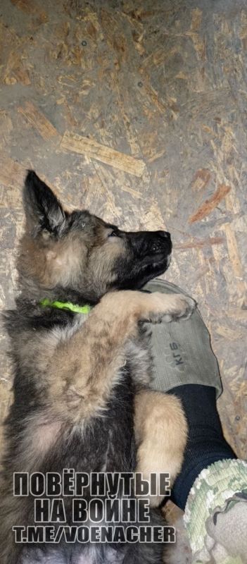 Доброе утро