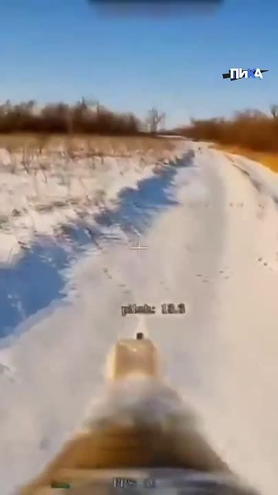 ����� ������ "�����" ���������������� ������� �������� ��������� �������