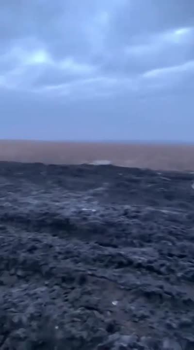 ������ �������: ��������� ���. ������ ����� �� ����!