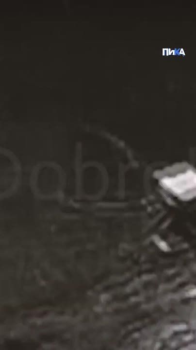 ������� ���� ������� "�������" ���������������� ������� ���������� ������������� ������ �����