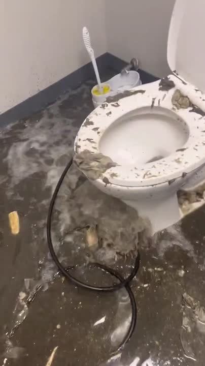 ��������� ��� � ������� ����� �������� ���������