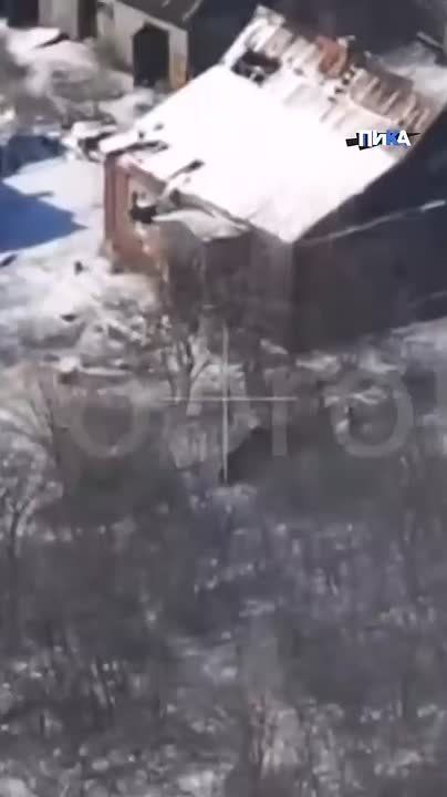 ��������� ���� ������ "�����" ���������������� ������� ���������� ��������� ������� ��������