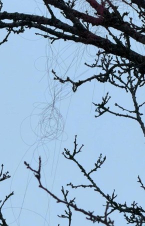 Это серьёзная угроза: русские дроны на оптоволокне начали долетать до Харькова