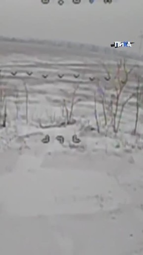 Точные удары по позициям ВСУ нанесли операторы БПЛА отряда «Алания» Добровольческого корпуса