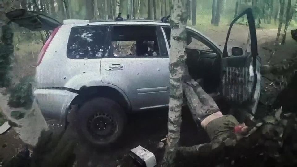 ���� ����������� �������� - � ���� ��������