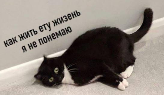 Анна Долгарева: Я не такой блогер, который расскажет вам, как жить ету жизнь! Я сама не знаю!