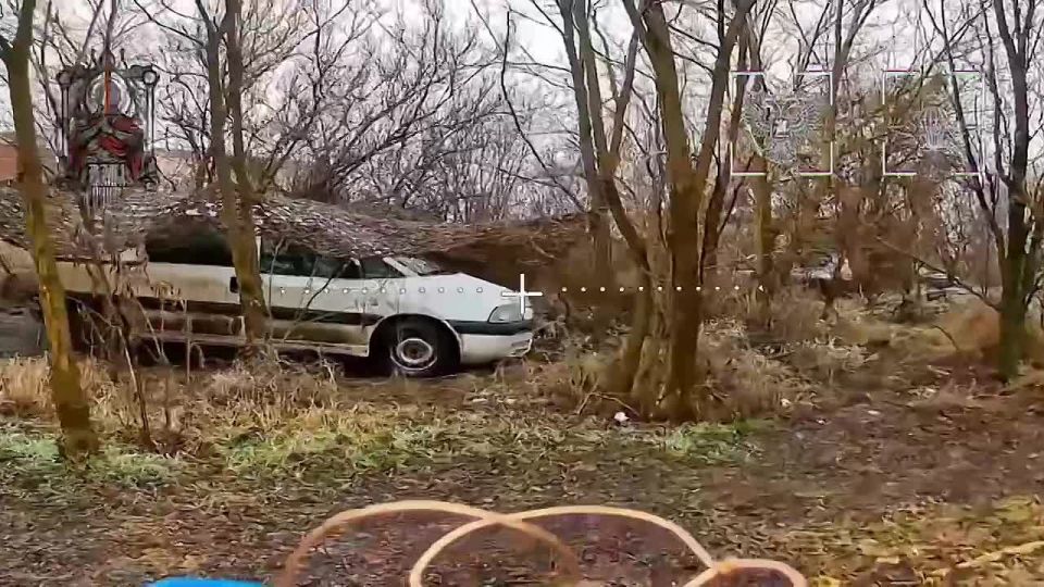 ��� ��������. ���, ������ ��� �������� ���������, ������������