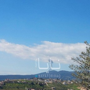 ������ ������� ����� ������ ��� ��������