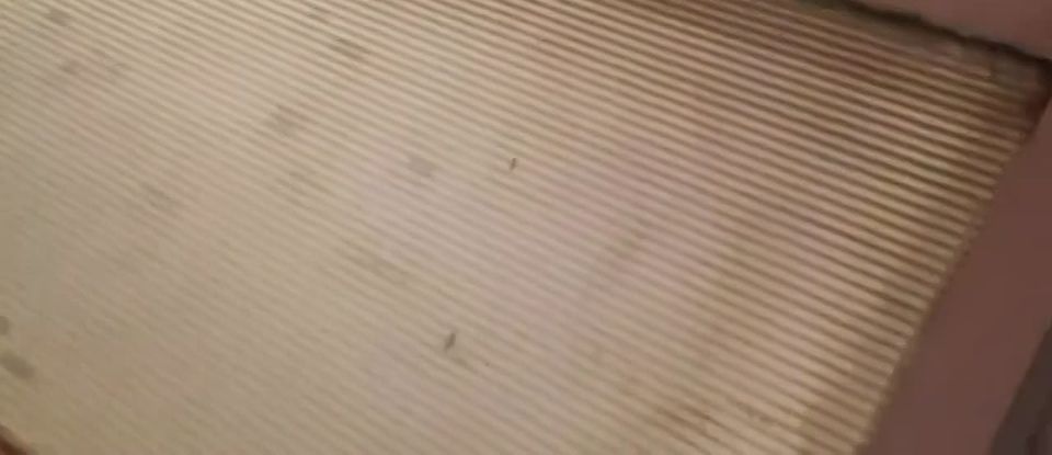 ���� �� �������������� ������ � ��������