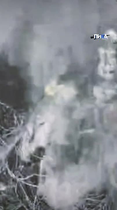 ������ ���� ������� ����� ������� ������������ ����� ���������� �������� ���������������� ������� "��������" ���������� ��� � ����� ����� ����������