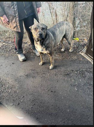 ��������� ���������: � ���� �� ����� �������� �������� ���������� � ��������� ��������� � ���, ���� ������ ������ �������