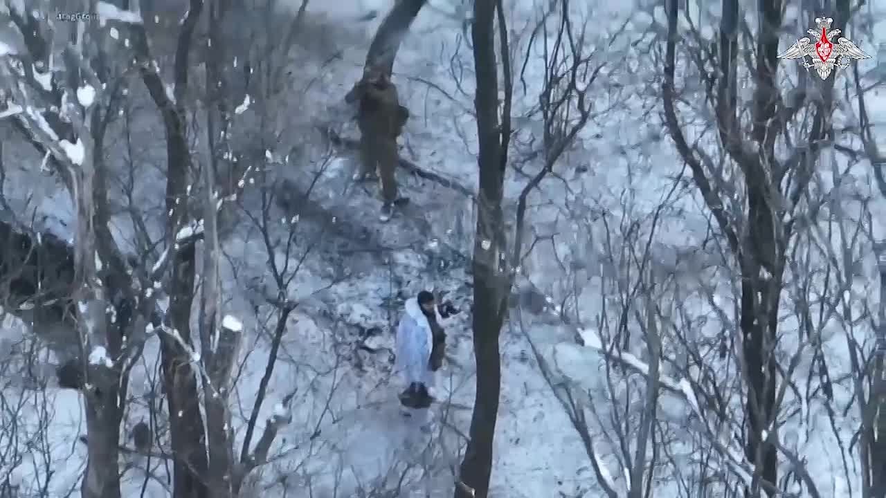 Минобороны России: Решительный штурм – и Нескучное наше!